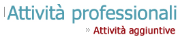Attivit� Professionali aggiuntive